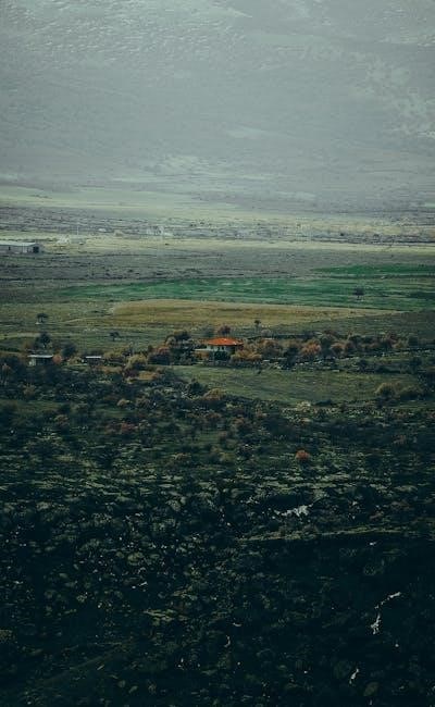 pexels-photo-16177512