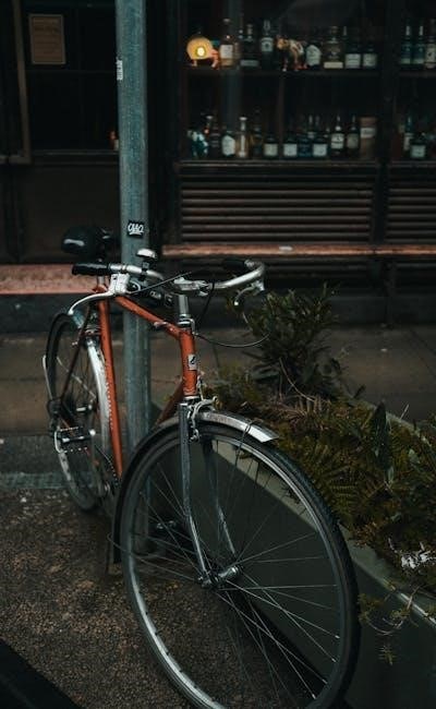 pexels-photo-20000562