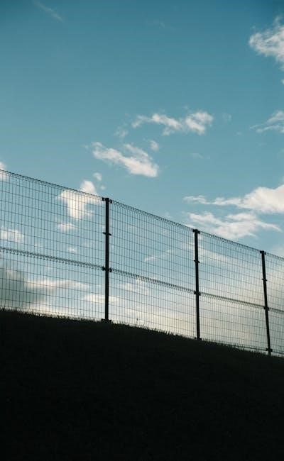 pexels-photo-29914752