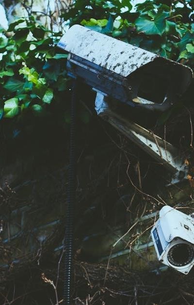 pexels-photo-354062